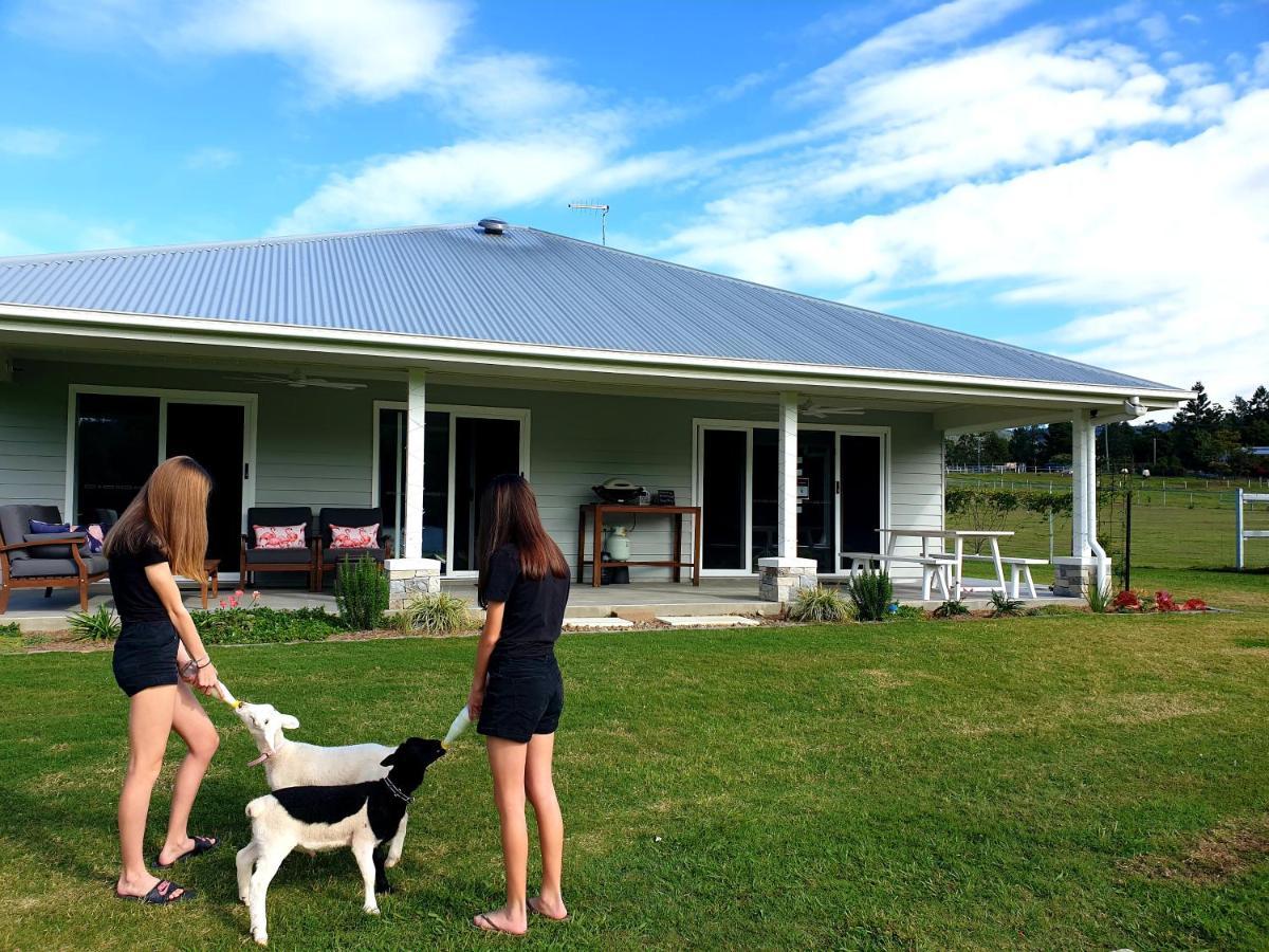 Fig Tree Farm B&B Highvale-Farmstay Near Brisbane! Esterno foto