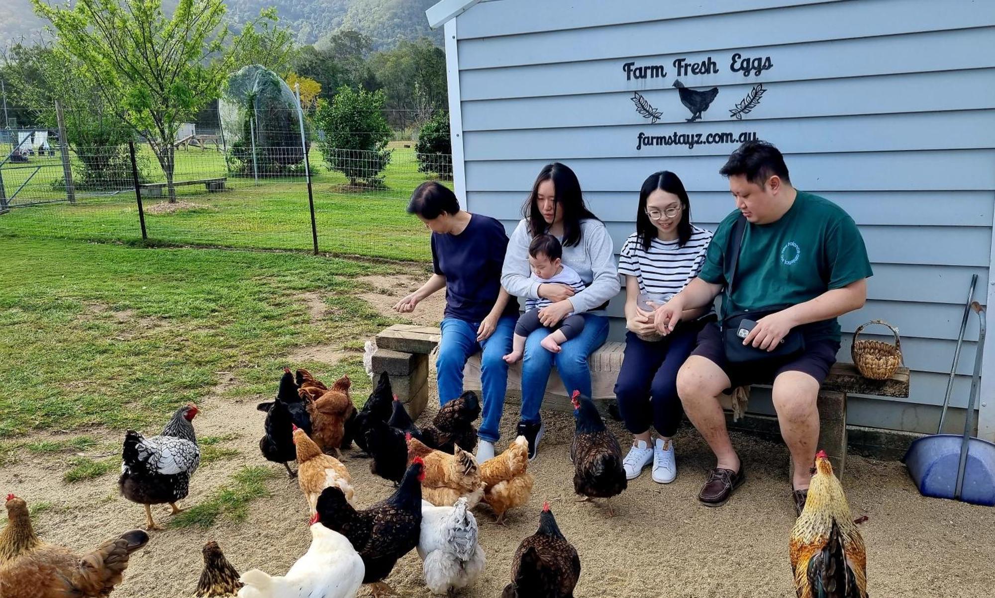 Fig Tree Farm B&B Highvale-Farmstay Near Brisbane! Esterno foto